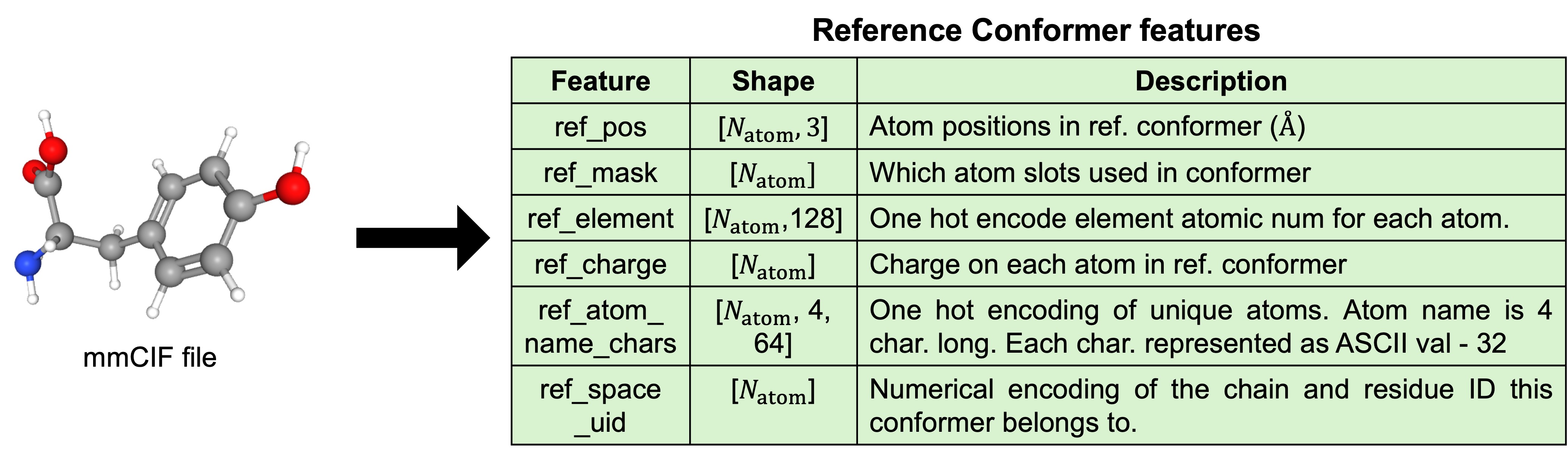 conformer features